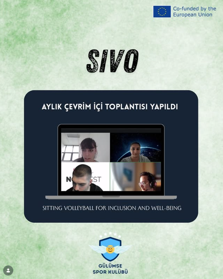 Monthly online meeting of the SIVO project was held